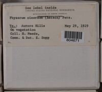 Image Associated With the Occurence